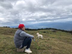 -罗坪山