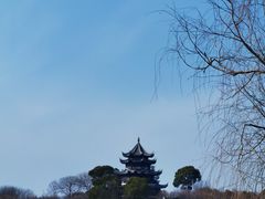 -上海海湾国家森林公园