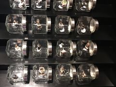 -上海外滩英迪格酒店