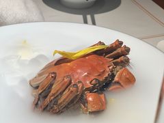 -觀芷隐轩
