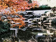 -秋霞圃