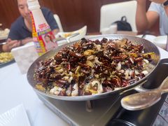 -三猫黑鱼花(南大店)