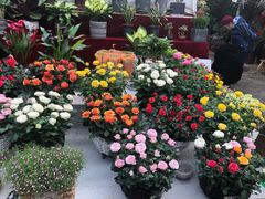 -秦美花卉(天朗·莱茵小城2期店)