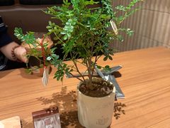 -CURRY YA 熟成咖哩專門店(深圳湾万象城店)