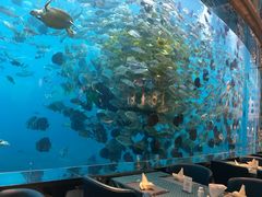 -瑞德姆美人鱼海底演艺主题餐厅(亚龙湾店)