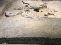 -洛阳周王城天子驾六博物馆