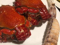 -安蒂娅·海鲜自助餐厅(安蒂娅美兰酒店)