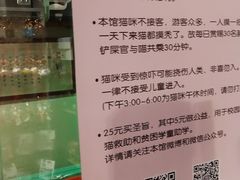 -猫咪博物馆(顶澳仔猫街店)