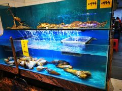 水产区-星龙海鲜(望江东路店)