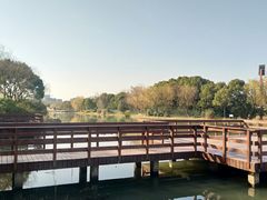 -新江湾城公园