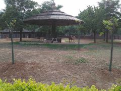 -石家庄市动物园