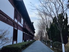 -东台西溪天仙缘景区