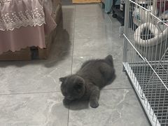 -太原东方动物医院(小店分院)