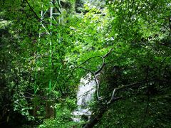 -藏龙百瀑风景区