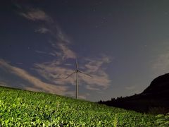 -东白山