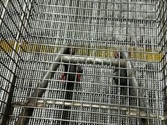 -物美超市(通州果园店)