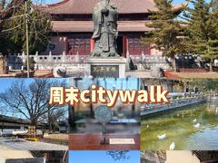 -苏州文庙(姑苏区)
