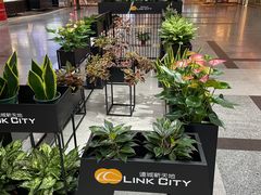 -连城·新天地(福华一路店)