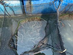 -海上驿站渔家菜馆