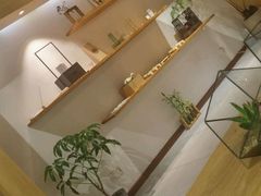 -柴务处·柴犬主题狗咖