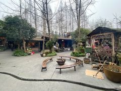 -青城甲(青城山店)