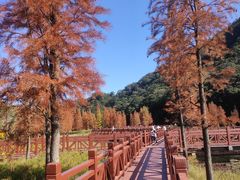 -广州市石门国家森林公园