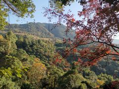 -广州市石门国家森林公园