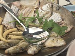 -吴记富苑(朝阳店)