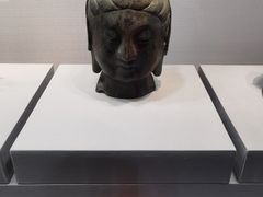 -青岛市博物馆