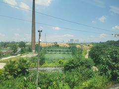 -凤张螺蛳粉·爽口粉(跃进路总店)
