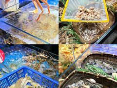 -徐记海鲜(大雁塔|金都店)