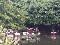-九龙公园