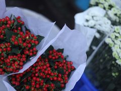 -循礼门鲜花花市(武汉循礼门店)