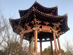 -杭州半山国家森林公园