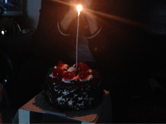 -龙兴·动物奶油生日蛋糕(龙北店)