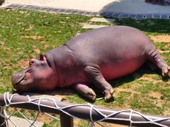 -大连森林动物园