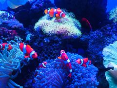 -多彩贵州城极地海洋世界