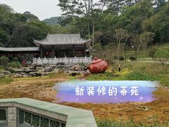 -广州市白云山风景名胜区