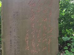 -三圣花乡旅游区