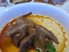 -美食小镇·观赏珍稀鸟类·长隆熊猫酒店