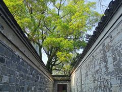 -天一阁博物院