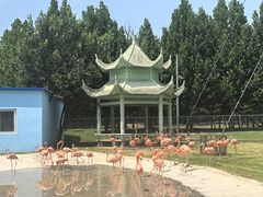 -秦皇岛野生动物园