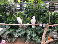 -南宫温泉水世界