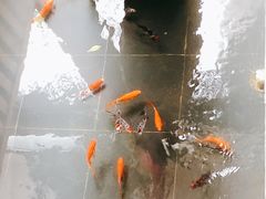 -旅马餐厅(茅家埠店)