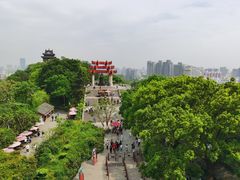 -黄鹤楼公园(黄鹤楼)