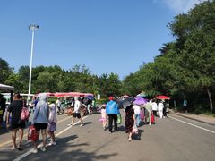 -日照海滨国家森林公园