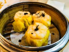 -糖朝(尖沙咀店)