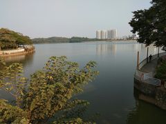 -仙湖旅游度假区