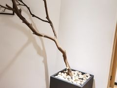 -麦子MaiMassage(打浦桥店)