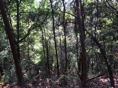 -西湖风景区十里琅珰-五云山